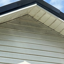 Best-Quality-Soft-Wash-in-Chatsworth-Ga 13